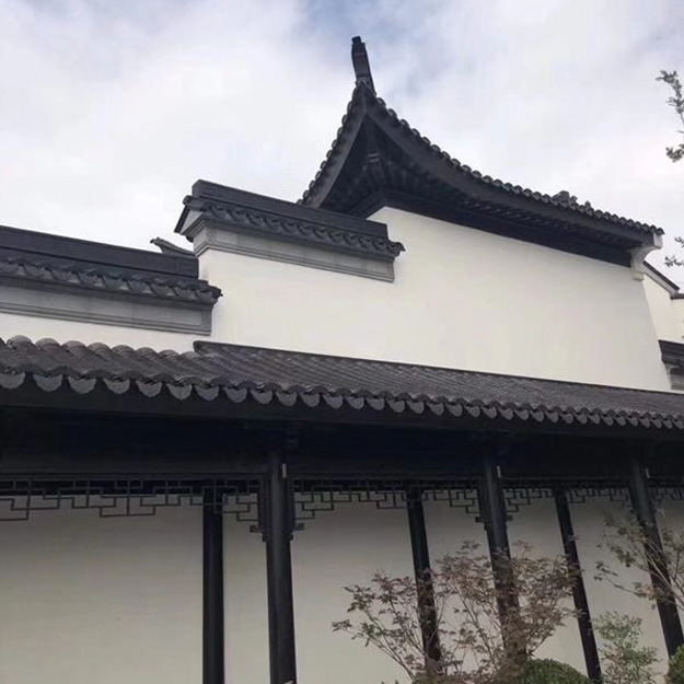甘蔗脊